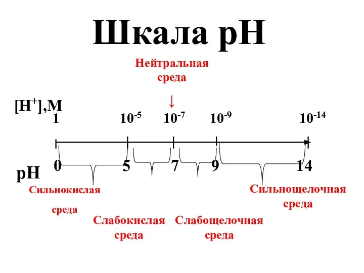 Шкала рН [Н+],M pH 1 10-5 10-7 10-9 10-14 0 5