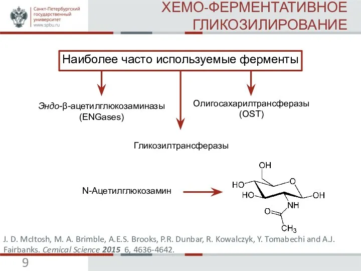 ХЕМО-ФЕРМЕНТАТИВНОЕ ГЛИКОЗИЛИРОВАНИЕ Наиболее часто используемые ферменты Эндо-β-ацетилглюкозаминазы (ENGases) Гликозилтрансферазы Олигосахарилтрансферазы (OST)