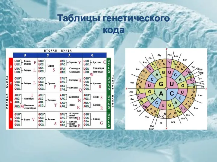 Таблицы генетического кода