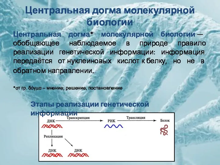 Центральная догма молекулярной биологии Центральная догма* молекулярной биологии — обобщающее наблюдаемое