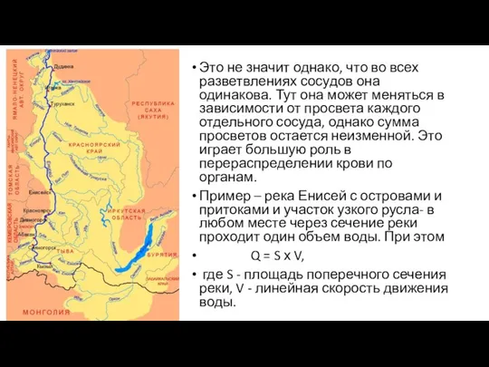 Это не значит однако, что во всех разветвлениях сосудов она одинакова.