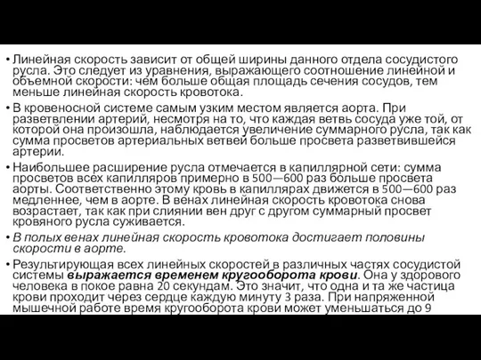 Линейная скорость зависит от общей ширины данного отдела сосудистого русла. Это