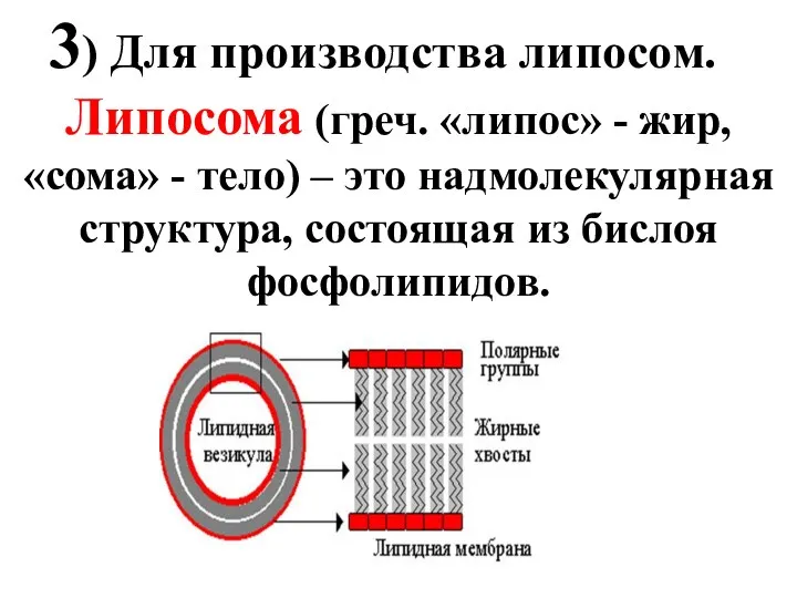 3) Для производства липосом. Липосома (греч. «липос» - жир, «сома» -