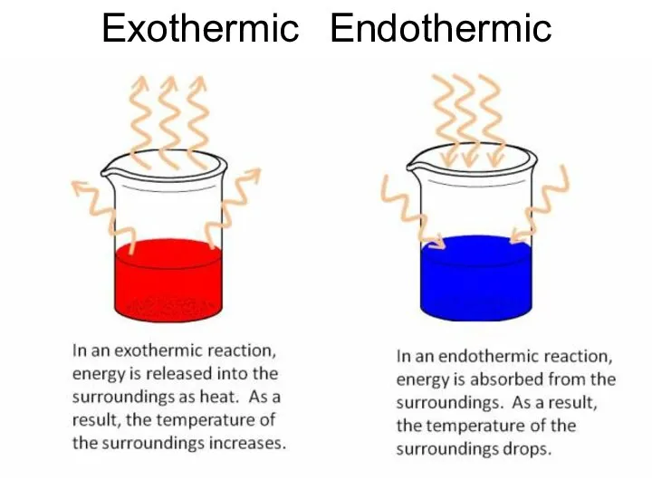 Exothermic Endothermic