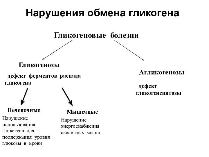 Нарушения обмена гликогена Гликогеновые болезни Гликогенозы Агликогенозы дефект ферментов распада гликогена