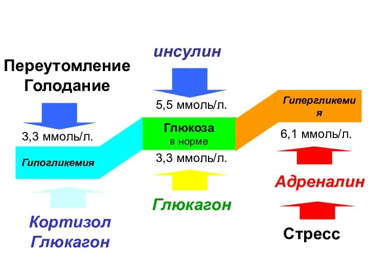 Глюкоза в норме Гипергликемия Гипогликемия 6,1 ммоль/л. 3,3 ммоль/л. 3,3 ммоль/л.