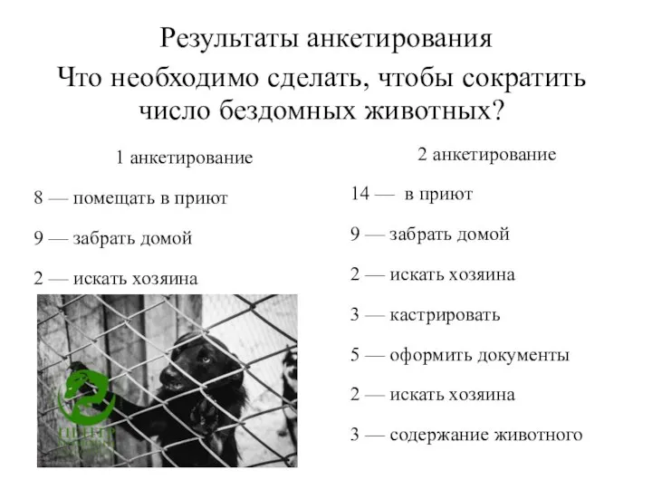 Результаты анкетирования Что необходимо сделать, чтобы сократить число бездомных животных? 1