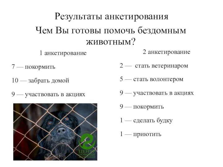 Результаты анкетирования Чем Вы готовы помочь бездомным животным? 1 анкетирование 7