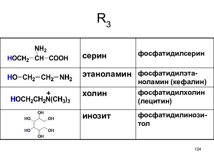 R3