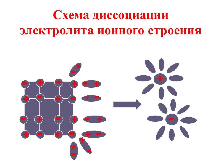 Схема диссоциации электролита ионного строения + + + + + +