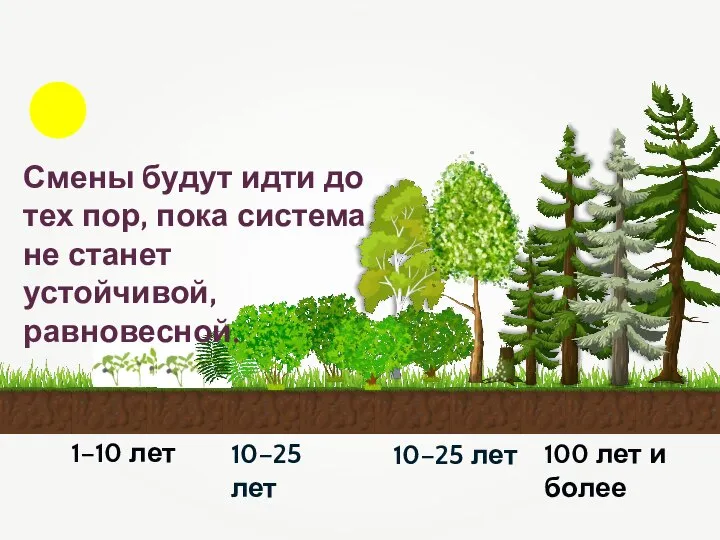 1–10 лет 10–25 лет 10–25 лет 100 лет и более Смены