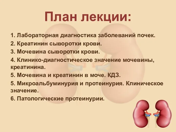 План лекции: 1. Лабораторная диагностика заболеваний почек. 2. Креатинин сыворотки крови.