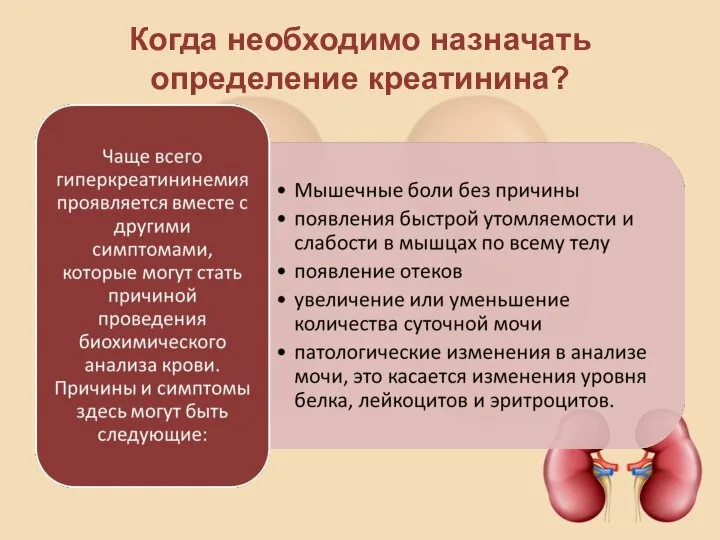 Когда необходимо назначать определение креатинина?