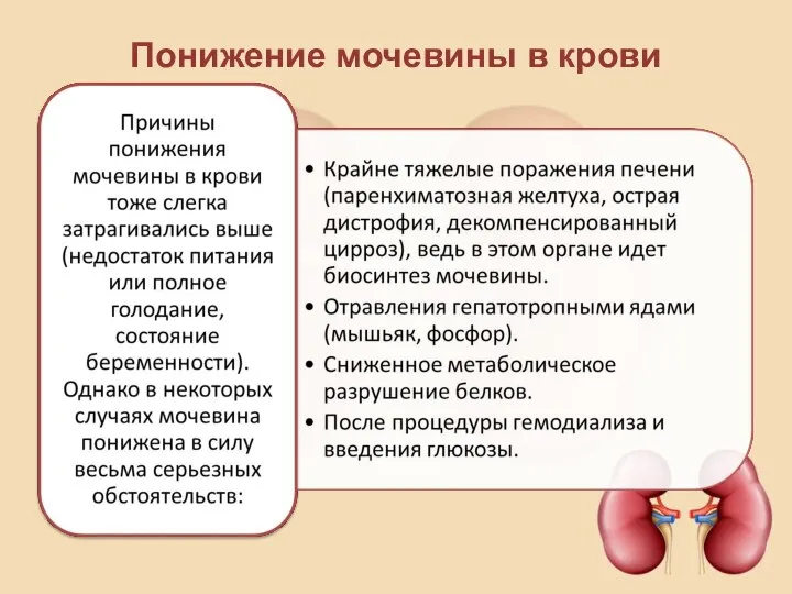 Понижение мочевины в крови