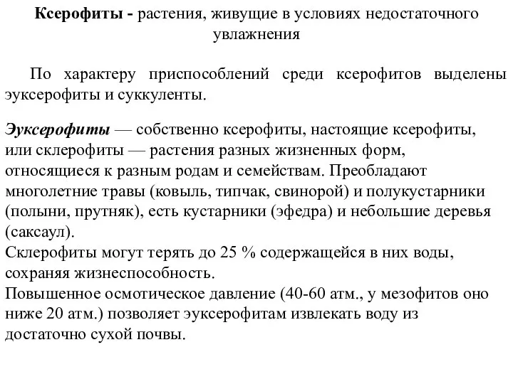 Ксерофиты - растения, живущие в условиях недостаточного увлажнения По характеру приспособлений