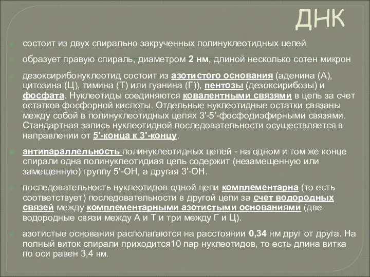 ДНК состоит из двух спирально закрученных полинуклеотидных цепей образует правую спираль,