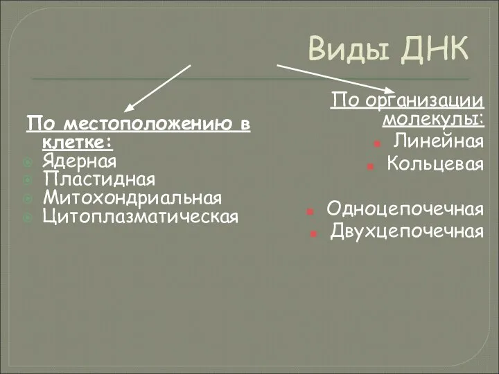 Виды ДНК По местоположению в клетке: Ядерная Пластидная Митохондриальная Цитоплазматическая По