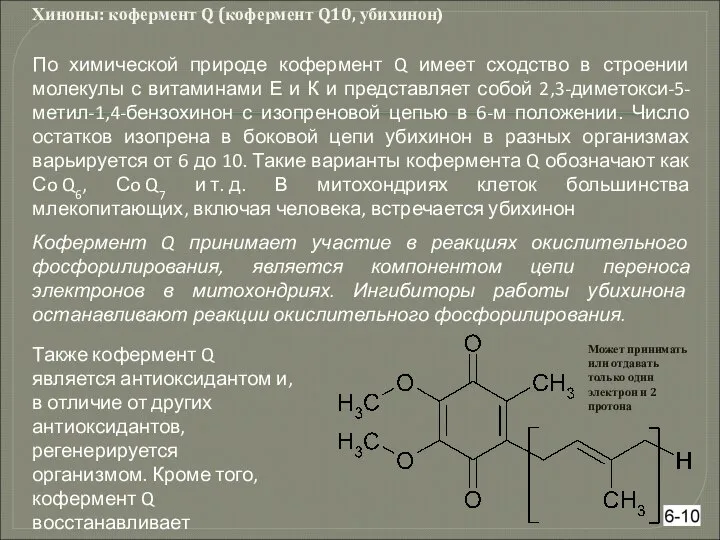 Хиноны: кофермент Q (кофермент Q10, убихинон) По химической природе кофермент Q