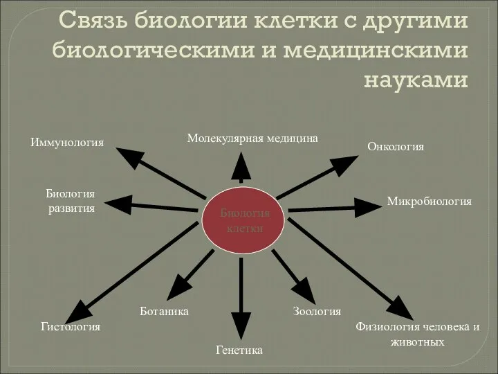 Связь биологии клетки с другими биологическими и медицинскими науками Биология клетки