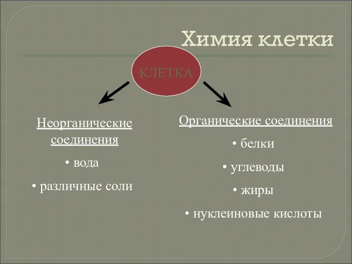 Химия клетки КЛЕТКА Неорганические соединения вода различные соли Органические соединения белки углеводы жиры нуклеиновые кислоты