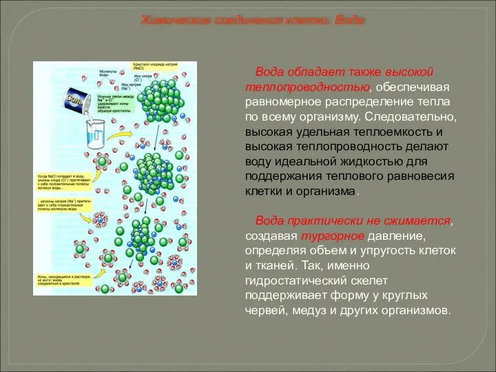 Вода обладает также высокой теплопроводностью, обеспечивая равномерное распределение тепла по всему