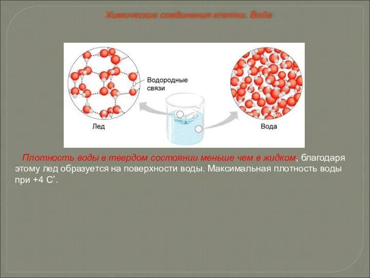 Плотность воды в твердом состоянии меньше чем в жидком, благодаря этому