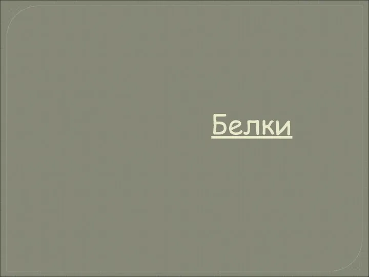 Белки