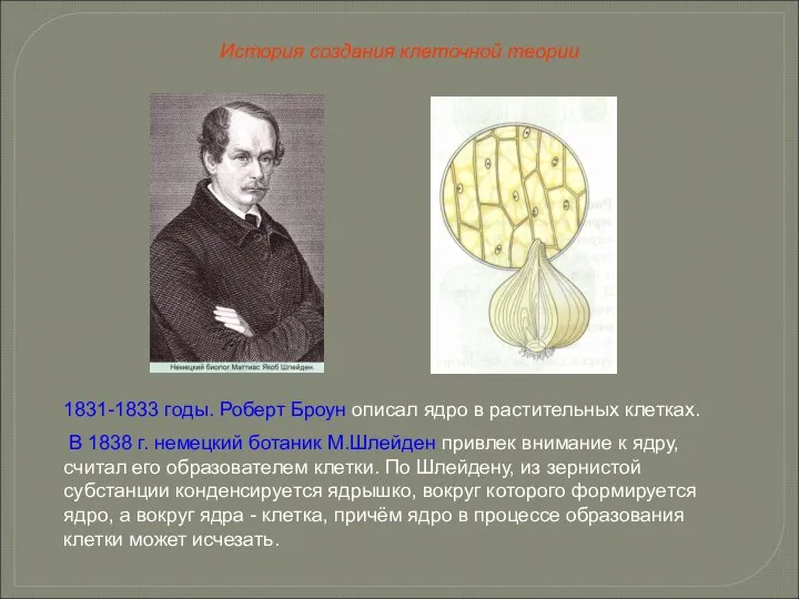 1831-1833 годы. Роберт Броун описал ядро в растительных клетках. В 1838