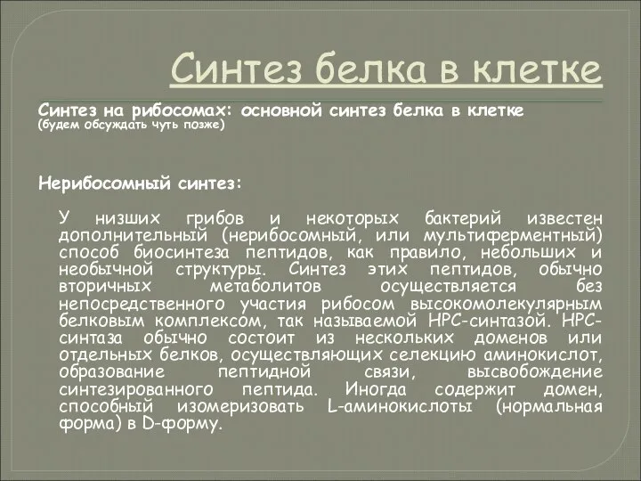 Синтез белка в клетке Синтез на рибосомах: основной синтез белка в