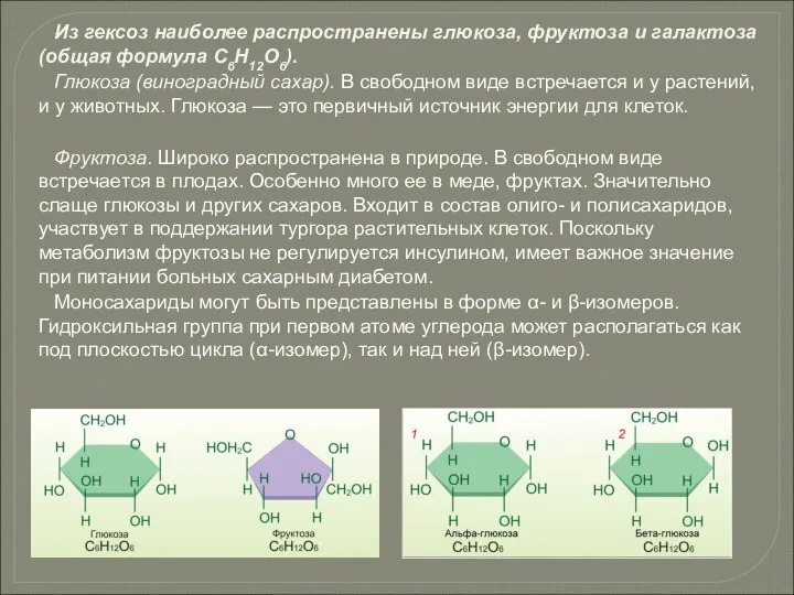 Из гексоз наиболее распространены глюкоза, фруктоза и галактоза (общая формула С6Н12О6).