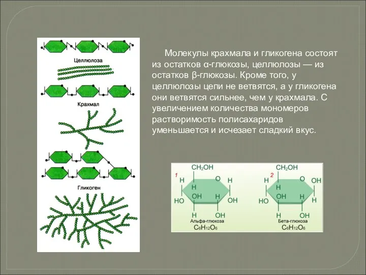 Молекулы крахмала и гликогена состоят из остатков α-глюкозы, целлюлозы — из