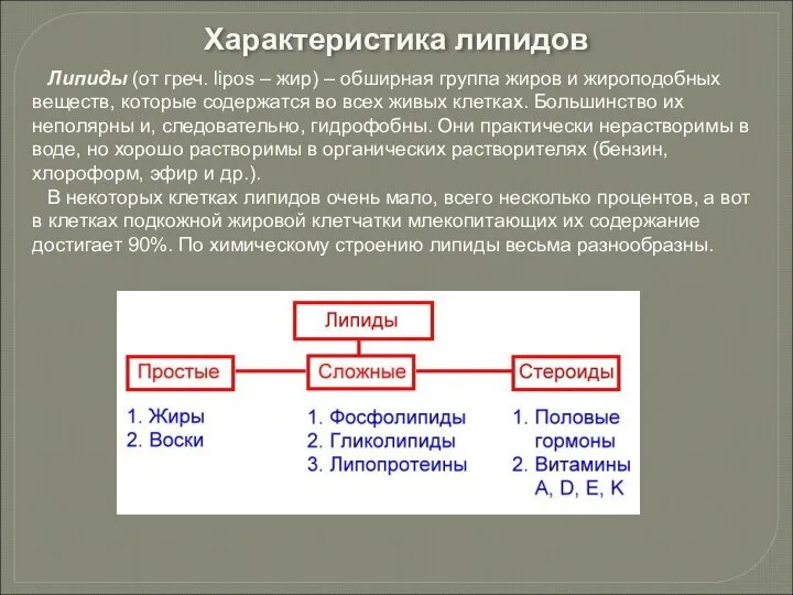 Липиды (от греч. lipos – жир) – обширная группа жиров и