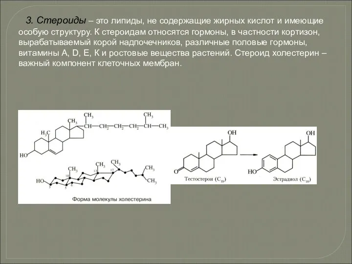 3. Стероиды – это липиды, не содержащие жирных кислот и имеющие