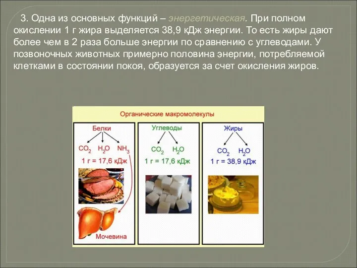 3. Одна из основных функций – энергетическая. При полном окислении 1