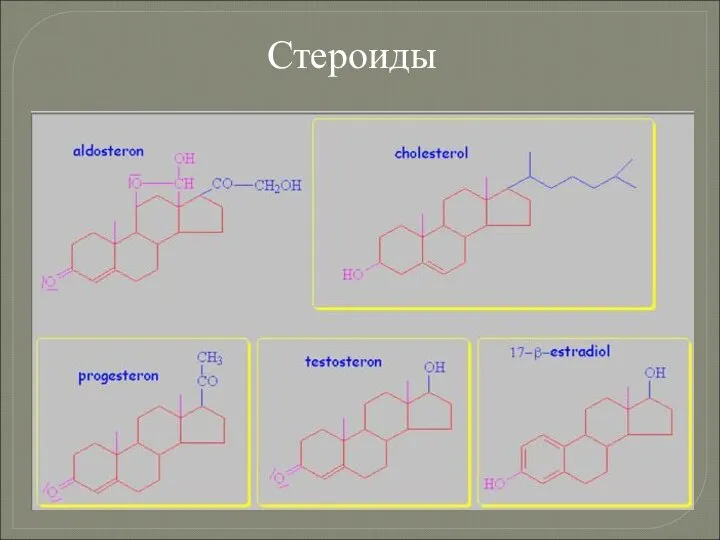 Стероиды