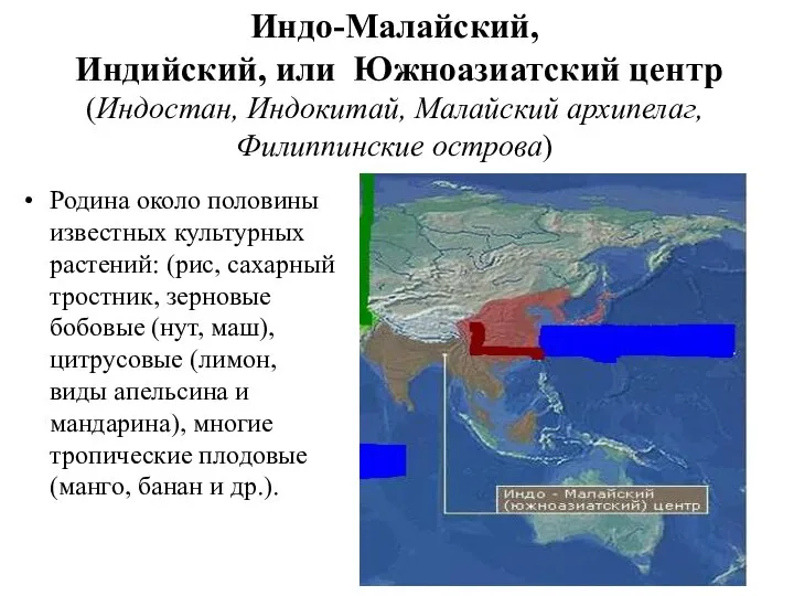 Индо-Малайский, Индийский, или Южноазиатский центр (Индостан, Индокитай, Малайский архипелаг, Филиппинские острова)