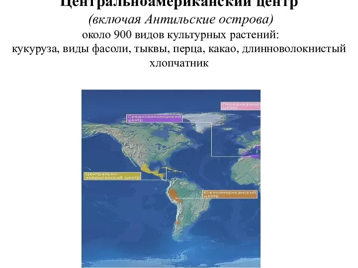 Центральноамериканский центр (включая Антильские острова) около 900 видов культурных растений: кукуруза,