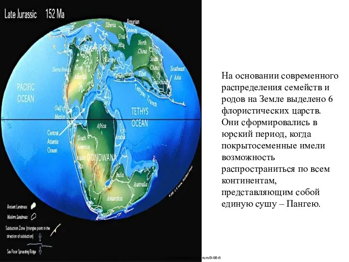 http://www.popal.by/forum/9-98-6 На основании современного распределения семейств и родов на Земле выделено