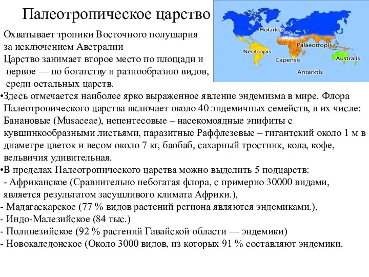 Палеотропическое царство Охватывает тропики Восточного полушария за исключением Австралии Царство занимает