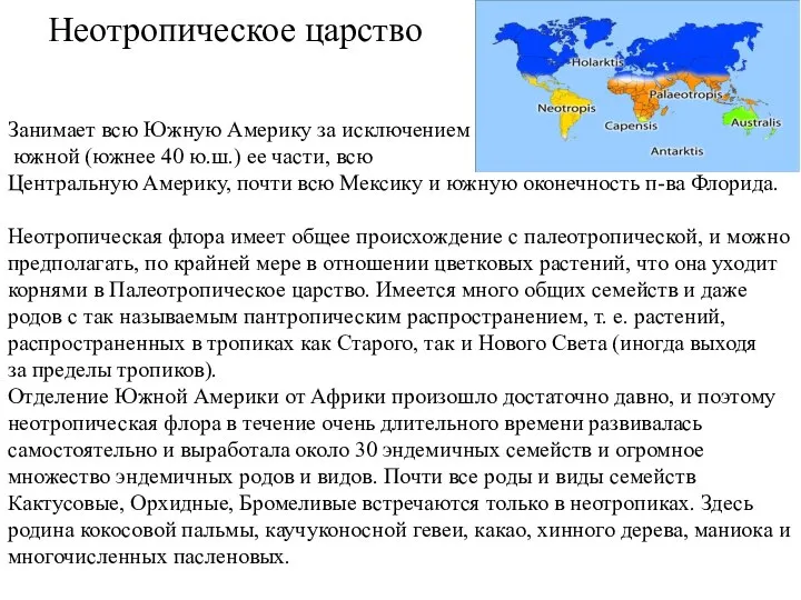 Неотропическое царство Занимает всю Южную Америку за исключением южной (южнее 40