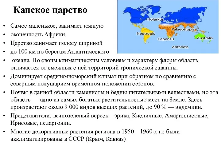 Капское царство Самое маленькое, занимает южную оконечность Африки. Царство занимает полосу