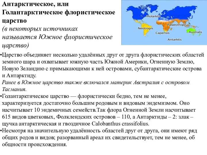 Антарктическое, или Голантарктическое флористическое царство (в некоторых источниках называется Южное флористическое