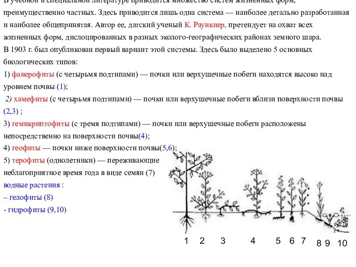 В учебной и специальной литературе приводится множество систем жизненных форм, преимущественно