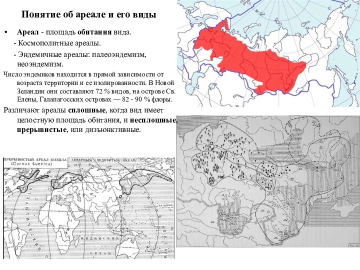 Понятие об ареале и его виды Ареал - площадь обитания вида.