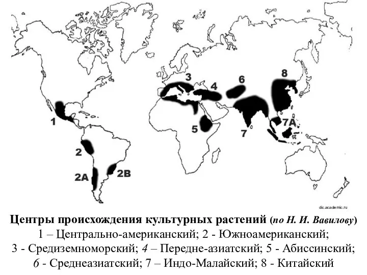 Центры происхождения культурных растений (по Н. И. Вавилову) 1 – Центрально-американский;