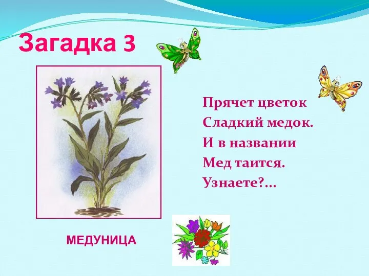 Загадка 3 Прячет цветок Сладкий медок. И в названии Мед таится. Узнаете?... МЕДУНИЦА