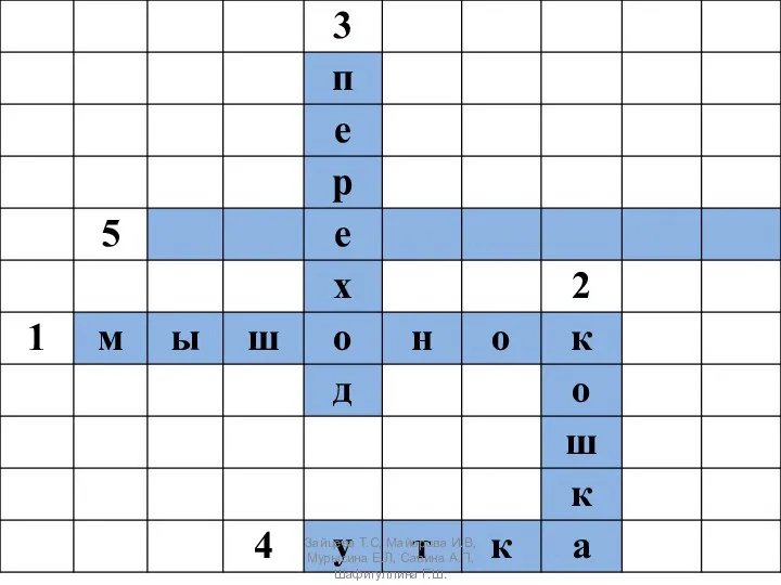 Зайцева Т.С, Майорова И.В, Мурысина Е.Л, Савина А.П, Шафигуллина Г.Ш.