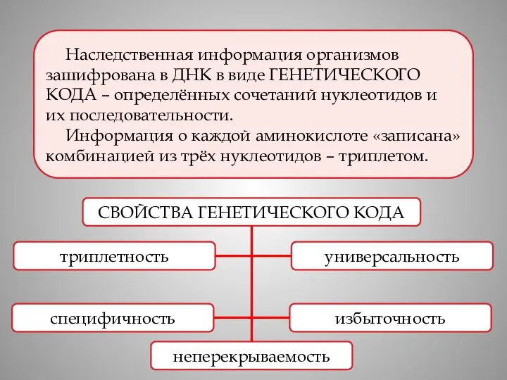 Наследственная информация организмов зашифрована в ДНК в виде ГЕНЕТИЧЕСКОГО КОДА –