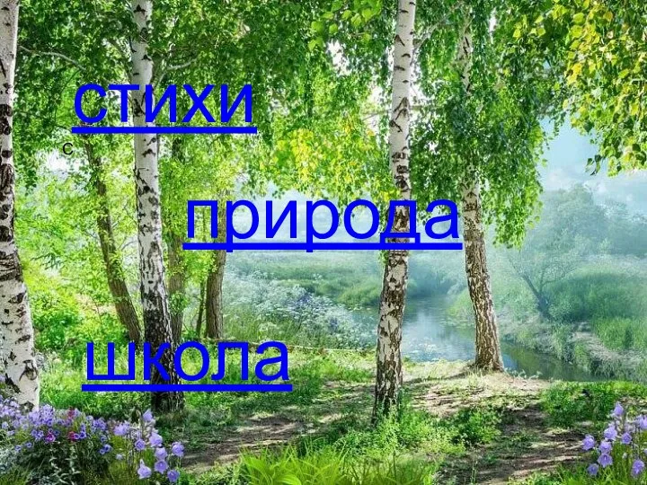 С стихи природа школа