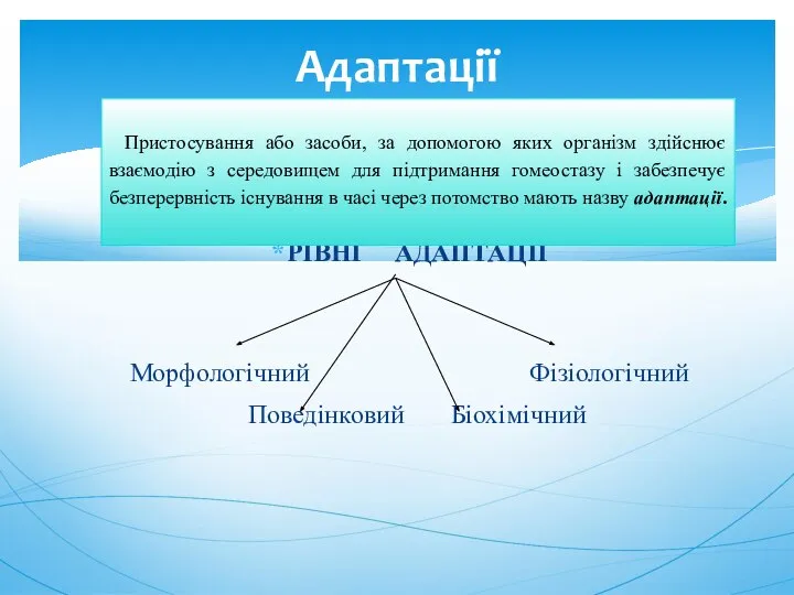 РІВНІ АДАПТАЦІЇ Морфологічний Фізіологічний Поведінковий Біохімічний Адаптації Пристосування або засоби, за